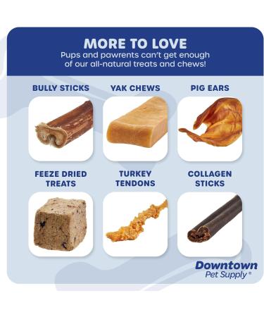 Downtown Pet Supply Bully Sticks for Dogs (12" 24-pack Jumbo) Non-GMO Grain Free Rawhide Free Dog Chews Long Lasting Pizzle Sticks - Low Odor Bully Sticks for Large Dogs - Buy Online on GoSupps.com