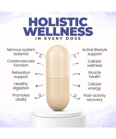 BeElevated Ginger and Turmeric Supplement Gummies (Pack of 1) Bundle with Triple Magnesium Complex (Pack of 2) Plant-Based Support for Joints Sleep and Daily Balance Vegan Non-GMO (3 Items) - Buy Online on GoSupps.com