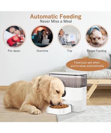 5L Automatic Cat Feeder for Cats Dogs - Programmable Smart Timed Dispenser with Portion Control and Voice Recorder - 4 Meals per Day - Buy Online on GoSupps.com