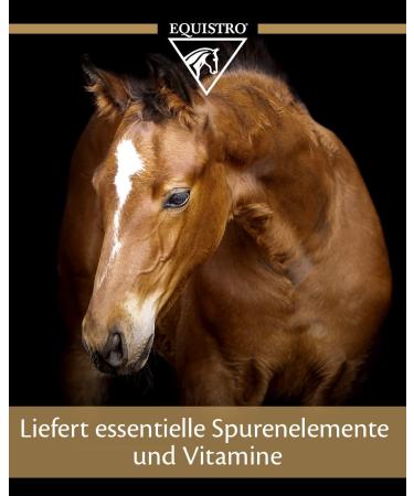 Equistro Ipaligo Foal 3x14g Oral Syringe - Buy Online on GoSupps.com