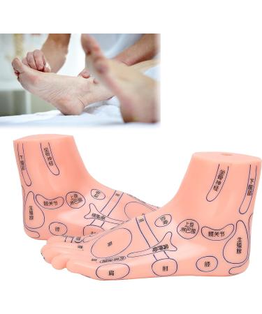 Acupuncture Point Model for Human Feet | Reflex Zone Massage Learning Tool | Durable PVC | Ideal for Hospitals & Education - Buy Online on GoSupps.com