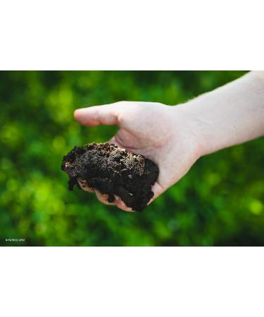 Schwerinnaturheil Edel Deluxe Heat Storage - Natural Moss Filling Ideal Size for Comfort & Wellness - International Shipping Available - Buy Online on GoSupps.com