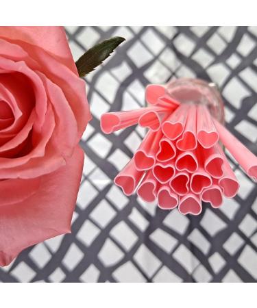 100pcs Heart Shaped Pink Straws Disposable Drinking Cute Straws Individually Wrapped Plastic for Valentine's Day Cocktail Birthday Party Kids Bridal Shower Wedding Supplies - Buy Online on GoSupps.com