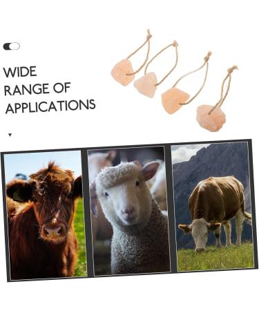 CIMAXIC 4pcs Salt Blocks Add Elements Pet Hanging Lick Salt Rabbit Salt Licking Salt Brick Mineral - Buy Online on GoSupps.com