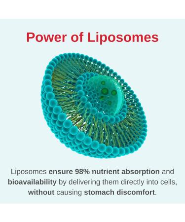 Vitaminally Liposomal Women's Liquid multivitamin Iron Free Drops| Sugar Free | Non-GMO | Gluten Free | Supports Immune System Bone Health and Energy Metabolism - Buy Online on GoSupps.com