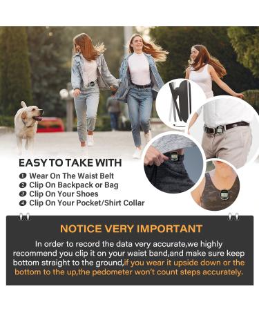 PINGKO Outdoor Portable Sport Pedometer - Green A4-Black | Step, Distance, Calories Counter - Buy Online on GoSupps.com