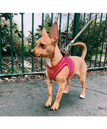 Bunty Medium Dog Harness & Puppy Harness - Durable Lightweight Design Breathable Comfy Padded Reflective Trim - Anti Pull Dog Harness Medium Lead Attachment Easy Fit - Yellow Medium Yellow - Buy Online on GoSupps.com