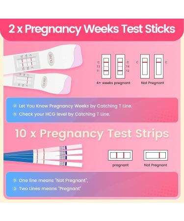 Accufast Pregnancy Test Kombipack - 12 Tests (2 Weekly Test Sticks & 10 Test Strips) with Urine Cups - HCG Detection - Accurate Weekly Pregnancy Determination German Manual  - Buy Online on GoSupps.com