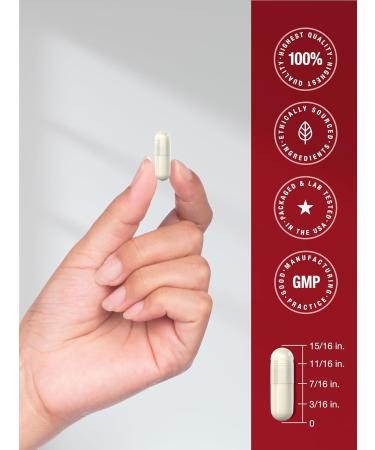 Horbaach Apple Cider Vinegar Capsules | 1800mg | 180 Count | Non-GMO Gluten-Free Supplement | by Berkshire Labs - Buy Online on GoSupps.com