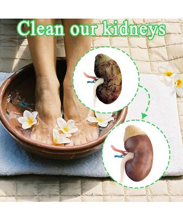 FUZSKWID 60pcs Detoxpro Kidney Support Foot & Hand Care Salts & Soaks with Ginger and Natural Mugwort Herb for Stress Relief and Better Sleep - Buy Online on GoSupps.com