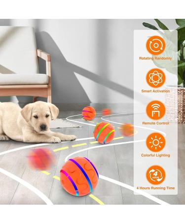 Shop Interactive Self-Strolling Dog Toy Ball - Wicked Ball with Remote Control | Intelligent Automatic Dog Toy for All Breeds - Buy Online on GoSupps.com
