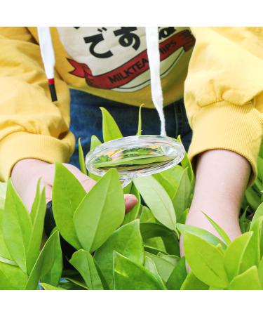 15 Pieces Handheld Magnifying Glasses 3X and 6X Plastic Magnifying Glasses with 15 Lanyard for Kids Outdoor Exploration or Scientific Observation Senior Reading Magnifiers - Buy Online on GoSupps.com