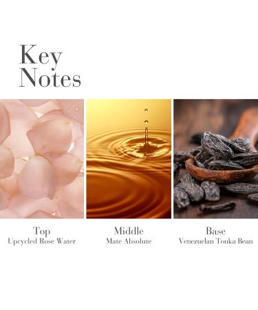 Elizabeth Arden White Tea Eau de Parfum Perfume for Women 1.7 Fl Oz (Pack of 1) Rose - Buy Online on GoSupps.com