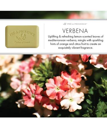 Pre de Provence Verbena Soap Bar 8.8 oz - Organic Shea Butter, Quad Milled, French Skincare - Buy Online on GoSupps.com