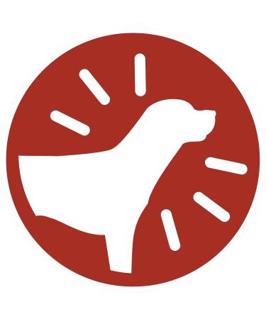 PURINA ONE MEDIUM MAXI Croquettes Rich in Beef with Rice for Adult Dogs 2.5 kg - Pack of 4 - Buy Online on GoSupps.com