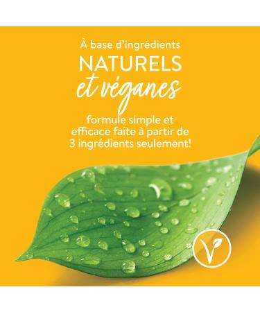 Buy Natural Wax Tapes Set | Eco-Friendly Crafting Supplies for Global Shipping - Buy Online on GoSupps.com