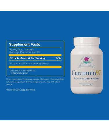 Ayush Herbs Curcumin 97% Herbal Turmeric Supplement - 90 Capsules | Whole-Body Support - Buy Online on GoSupps.com