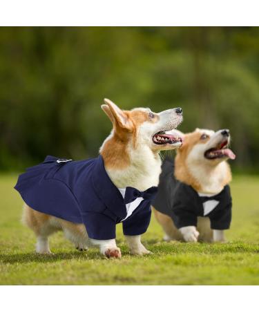 Cit toile Dog Wedding Suit Set | Tuxedo Shirt for Small Medium & Large Dogs | Stylish Party Clothing in Blue | Perfect for Weddings Birthdays & Halloween - Buy Online on GoSupps.com
