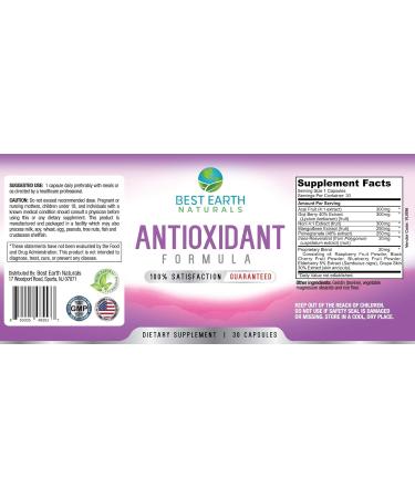 Best Earth Naturals Antioxidant Supplement | Pomegranate Mangosteen & Goji Berry Capsules for Immune Support - 30 Day Supply - Buy Online on GoSupps.com