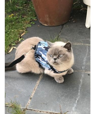 Mynwood Escape Proof Jacket/Harness for Adult Cats - Blue | International Shipping Available - Buy Online on GoSupps.com
