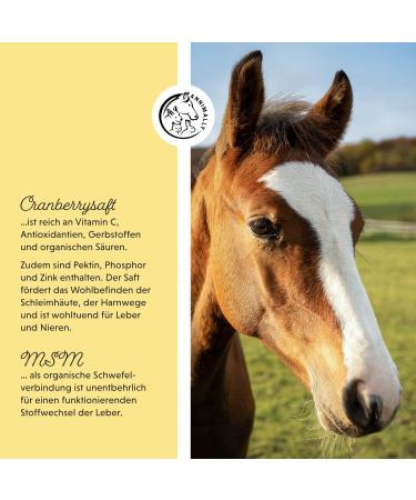 Annimally Liver Kidney Liquid for Horses - 1000ml Herbal Juice with Dandelion & Artichoke for Healthy Metabolism - Buy Online on GoSupps.com