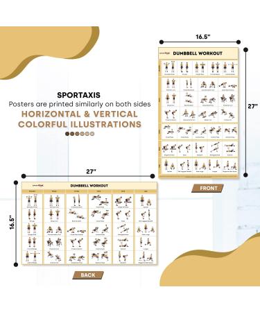 SPORTAXIS No-Equipment Laminated Dumbbell Workout Poster - Advanced Home Training for Men and Women - Buy Online on GoSupps.com