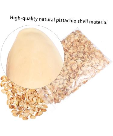 NUOBESTY 1 Pistachio Shell Kids Diy Craft Charms Turkish Diy Craft Accessories Nut Art Supplies Child - Buy Online on GoSupps.com