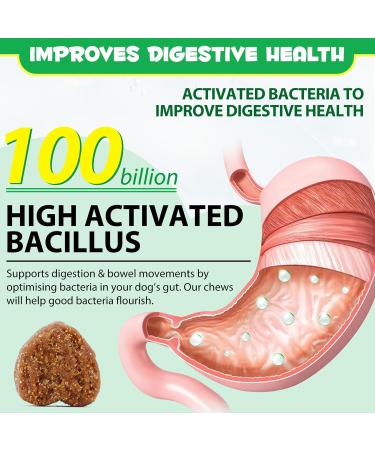 Probiotics for Dogs 30 Chews Pre & Probiotic Digestive Treats for Dogs Support Gut & Digestive Health Sensitive Tums Anal Glands & Bum Scooting Loose Stools Seasonal Allergies Itchy Skin - Buy Online on GoSupps.com