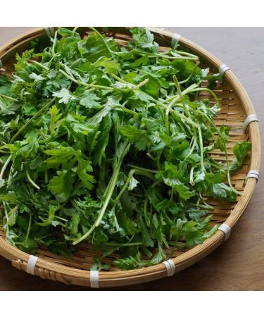  Alpi Nature Alpi Nature Organic Mugwort Tea 125g Dried and Cut Mugwort Herb Artemisia Vulgaris - Buy Online on GoSupps.com