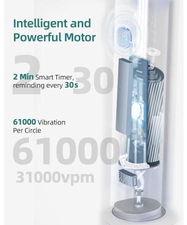 7am2m Sonic Electric Toothbrush with 6 Brush Heads for Adults and Kids Wireless Fast Charge One Charge for 60 Days 5 Modes with 2 Minutes Built in Smart Timer Electric Toothbrushes(White) No Travel Case White - Buy Online on GoSupps.com