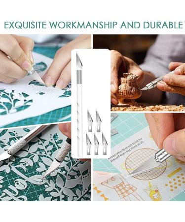13 Pcs Stainless Steel Vinyl Weeding Tools Kit with Storage Bag - Precision Craft Hobby Knife Set for HTV, Silhouettes, Cameos, DIY Artwork & Scrapbooking - Buy Online on GoSupps.com