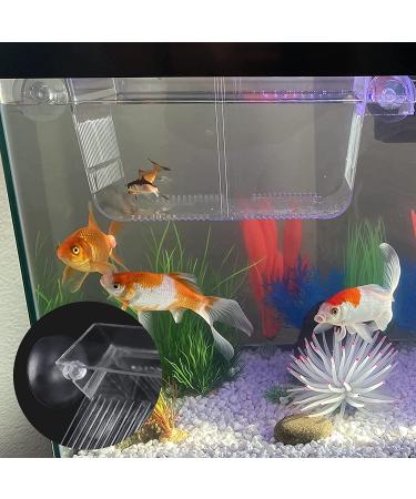 FVIEXE 4PCS Acrylic Fish Tank Breeder Box - Divider & Hatchery Incubator for Guppy, Shrimp & Baby Fish - Buy Online on GoSupps.com