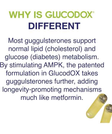 Volt03 Turmeric Curcumin (60 Capsules) + GlucodOX AMPK Activator (60 Capsules) Complete Wellness Bundle for Joint Health Metabolic Balance Energy & Immune Support with Organic Ingredients - Buy Online on GoSupps.com