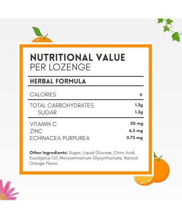 HERBION Naturals Zinc Echinacea & Vitamin C Lozenges 25 CT Dietary Supplement for Adults & Children 5+ Promotes Wellness for The Whole Family 125 Count Orange Pack of 5 Orange 125 Count (Pack of 5) - Buy Online on GoSupps.com