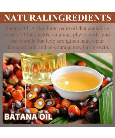 Botana Hair Growth Oil Batana Oil Organic Organic Batana Oil Pure Raw Batana Oil For Hair Growth Repair Damaged Hair Hair Smoothing Conditioner for Damage Protective for Men Women - Buy Online on GoSupps.com