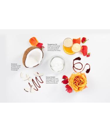 SAUCE BEAUTY Crème Brulee Curling Custard - Curl-Defining Cream for Wavy-Coily Hair | 10.5 Fl Oz | Moisturizing Formula with Cocoa Butter Coconut Oil & Tangerine Oil - Buy Online on GoSupps.com