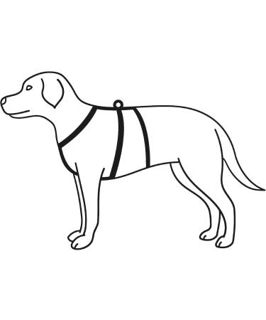 Trixie Stay Harness XS-S (30-40 cm) - Black | Premium Dog Harness for Comfortable & Safe Travel - Buy Online on GoSupps.com