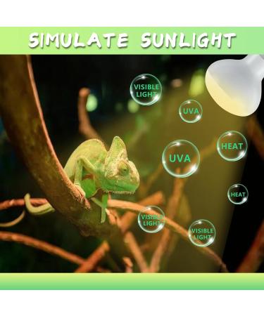 LUCKY HERP 2 Pack 100W UVA Reptile Heat Lamp Bulb Amphibian Basking Spot Light Bulb Reptile Daylight Bulb for Turtle Bearded Dragon Lizard Heating Use 100W(2 Pack) - Buy Online on GoSupps.com