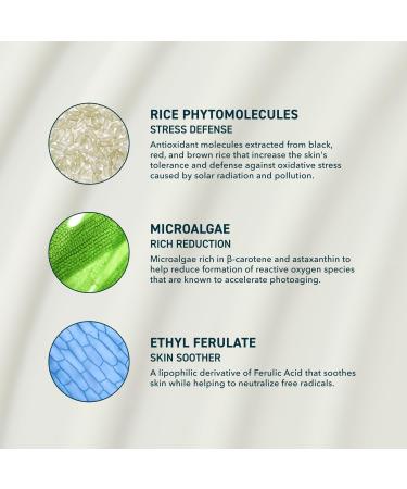 Prequel Skin Solar Shade - Moisturizing Face Sunscreen SPF 46 PA++++ Broad Spectrum UV Protection. Hydrating Sunblock for Dry Skin. Lightweight Travel Size Sun Protection, 1.7oz 1.7 Fl Oz (Pack of 1) - Buy Online on GoSupps.com