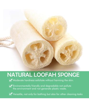 Natural Bathing Loofah 3 Pack - 6 inch 100% Organic Shower Sponge for Exfoliating and Dead Skin Removal - Eco-Friendly Body Scrubbers - Buy Online on GoSupps.com
