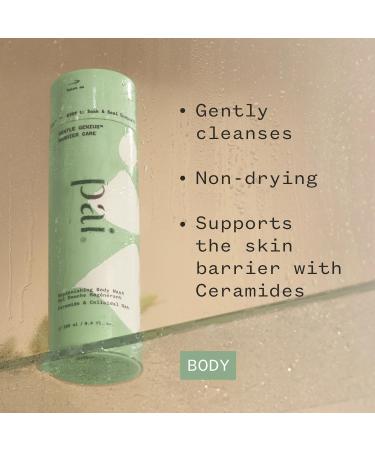 PAI SKINCARE - Gentle Genius Barrier Care Replenishing Body Wash | Natural Vegan Cruelty-Free Sensative Skin (8.4 fl oz | 250 mL) - Buy Online on GoSupps.com