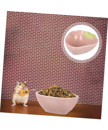 KICHOUSE 2pcs Hamster Food Plate Hamster Cage Accessories Bunny Food Hawaiian Food Hamster Bath Bowl Ceramic Rat Bowl Pet Bowl Small Cat Bowl Hamster Supplies Food Bowl for Cats Ceramics medium Pink - Buy Online on GoSupps.com