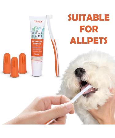 Dog toothpaste and Toothbrush Cat Toothbrushs Finger Toothbrushs 3pcs Pet Dental Care Set with Beef Flavor Dog Teeth Cleaning Dog Tartar Remover Fresh Breath Reduce Plaque - Buy Online on GoSupps.com