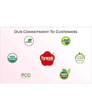 Organic Amla Fruit Powder 4oz Trial Pack - USDA Certified Raw Superfood for Immunity, Skin & Hair Growth - Resealable Pouch - Buy Online on GoSupps.com