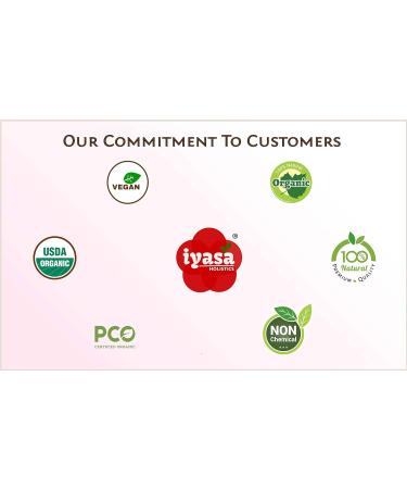 Organic Aloe Vera Powder Aloe Barbadensis for Cooling Face and Hair Mask Natural Moisturizer ONE Resealbale Pack of 8 oz/223 Gram 8.0 ounces - Buy Online on GoSupps.com