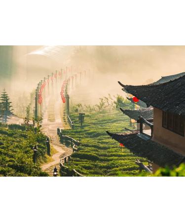 Lais Puzzle Ban Rak Thai Village Mae Hong Son Province Northern Thailand 500 pieces - Buy Online on GoSupps.com