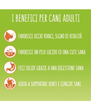 Purina Friskies Balance Dog Food with Chicken and Added Vegetables 6 x 1.5 kg Cans - Buy Online on GoSupps.com