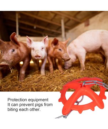 Animal Toy for Piglets Adjustive Plastic Toy Equipment for Piglets for Farms And Breeding Farms - Buy Online on GoSupps.com