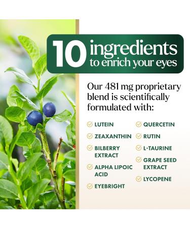 Eye Vitamins Supplements - 3x Strength Eye Health Vitamin with Lutein and Zeaxanthin - Vision Macular Health & Dry Eyes Support With Zinc Vitamins C E & Minerals Bottled in USA - 120 Capsules 120 Count (Pack of 1) - Buy Online on GoSupps.com