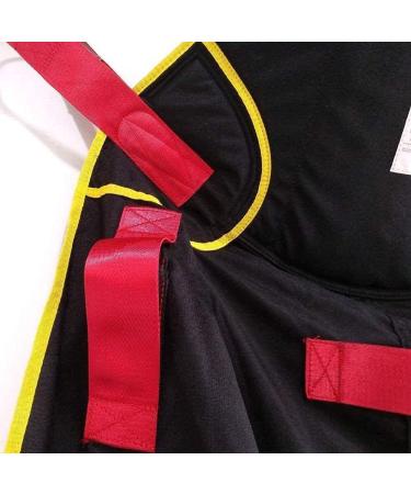 Portable Patient Lift Toileting Sling Patient Lifter Transfer Belt Lifting Sling Patient Care Safety Mobility Aids Equipment with Four Point Support - Buy Online on GoSupps.com